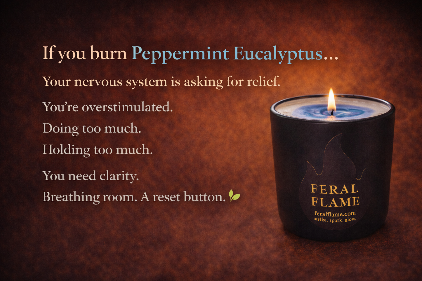 🕯️ Feral Flame Signature Candle | Coconut Soy - 👉 ⭐ Customer Favourite